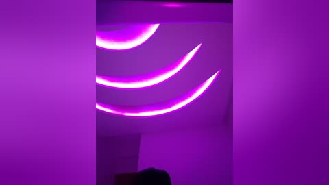 Media: Video of a minimalist interior with a purple wall and ceiling. Three glowing, curved, neon lights in purple and pink hues create a modern, abstract, and vibrant ambiance. The image has a shallow depth of field, focusing on the lights and wall.