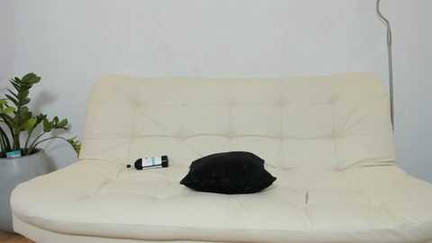 Media: A video of a beige, tufted leather sofa with a black pillow, a remote control, and a green plant in a white pot against a plain white wall.