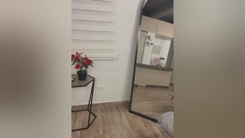 Media: Video of a minimalist, modern bathroom with white walls, wooden floor, potted red poinsettia, black metal table, white blinds, and a large mirror reflecting a kitchen with wooden cabinets and a fridge.