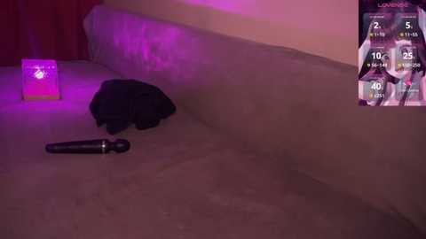 Media: Video of a dimly lit bedroom with a black cat curled up on a beige bed, a black vibrator on the bed, and a pink box with a star logo beside the bed.