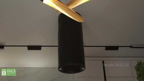 Media: A video of a modern, minimalist room with a black cylindrical pendant light hanging from a gold cross-shaped fixture. The background features white walls, a green logo, and a window with a green plant.