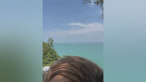 Media: Video of a person with brown hair, viewed from behind, standing on a rocky coast overlooking a turquoise ocean under a partly cloudy sky.