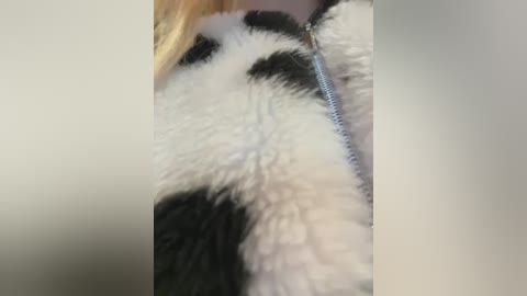 Media: A close-up video of a fluffy, black-and-white panda-like plush toy with a shiny silver zipper on its chest, partially covered by a light-colored fabric. The background is out of focus.