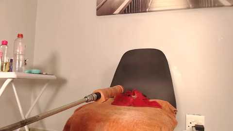 Media: A video of a tan recliner with a black cushion, featuring a red cloth, and a vacuum cleaner hose on it, in a white-walled room with a desk and water bottles.