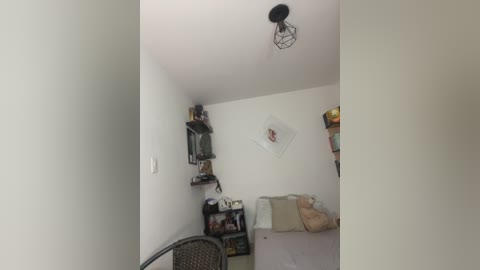 Media: Video of a small, dimly lit bedroom with white walls, a bed, a black mesh light fixture, shelves with books and decor, and a stuffed animal.