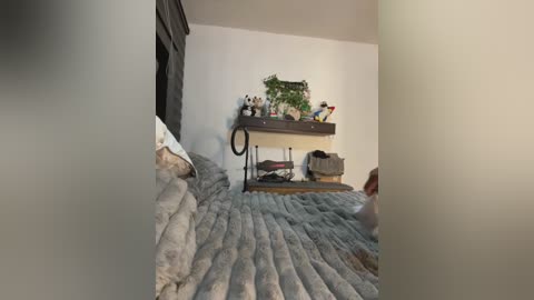 Media: A video of a cozy bedroom with a dark wooden bed, gray quilted blanket, and a green plant on a shelf.