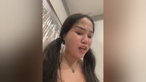 Media: Video of a young Asian woman with long black pigtails, wearing a necklace, leaning against a textured, beige wall with a glass door in the background.