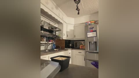 Media: Video of a small, cluttered kitchen with white cabinets, a stainless steel fridge, and a cluttered countertop. A black trash can is visible in the foreground.