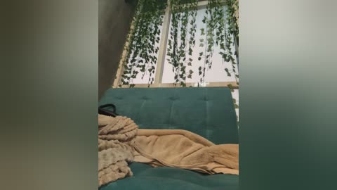 Media: A video of a cozy, dimly lit room featuring a teal couch with a beige blanket, a beige knitted throw, and a window with green ivy vines cascading down.