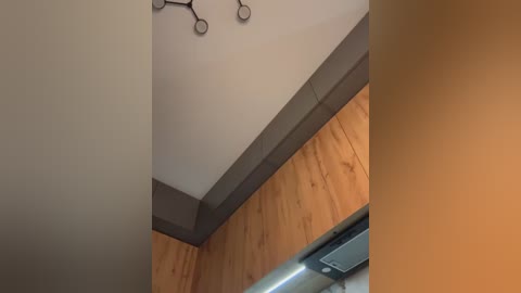 Media: Video of a modern interior corner with light wood paneling, a grey baseboard, and a metal ceiling fan with three black blades. The ceiling is white, creating a warm, clean aesthetic.