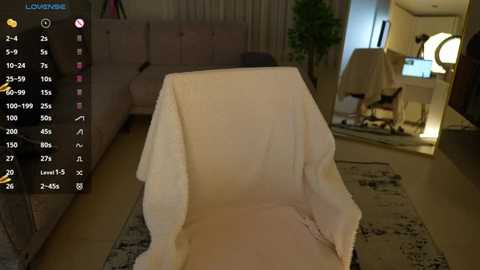 Media: Video of a cozy living room with a beige armchair draped in white cloth, a plush grey sofa, and a kitchen area visible in the background.