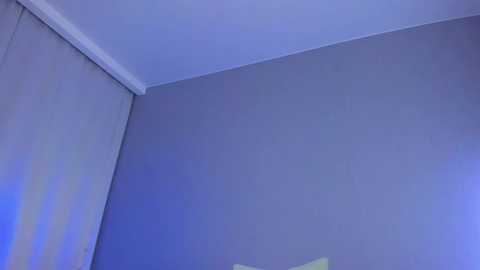 Media: A video of a corner in a room with light gray walls and a white ceiling. The left wall has vertical blinds, and a blue light casts a soft glow from the bottom right corner.