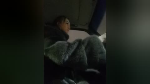 Media: A dimly lit video of a person, possibly Asian, dressed in a dark, fur-trimmed coat, sleeping in a car's backseat. The background is dark, with blurred window reflections.