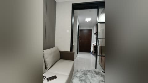 Media: Video of a modern, minimalist hallway with beige walls, a white sofa, a black TV, and a grey rug. The hallway leads to a dark wooden door and a black-framed window.