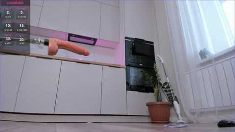 Media: Video of a realistic-looking, life-size, erect, pink dildo hovering above a kitchen counter in a modern kitchen with white cabinets, a potted plant, and a window.