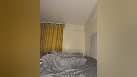 Media: Video of a messy bedroom with a bed covered in grey and white striped sheets, mustard-yellow curtains, and beige walls. The room is dimly lit, creating a somewhat gloomy atmosphere.