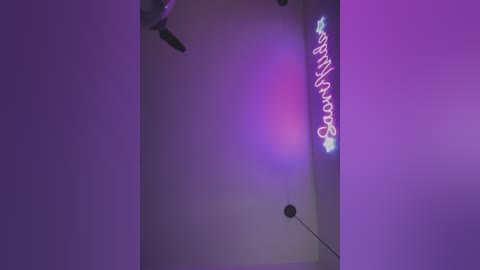 Media: Video of a dimly lit, purple-tinted room featuring a neon sign on the right wall spelling \"Good Morning\" in cursive script. A microphone is mounted on the left wall.