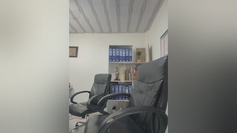 Media: Video of a minimalist office with two black leather chairs facing a blue filing cabinet filled with binders, white walls, and a framed certificate on the left.