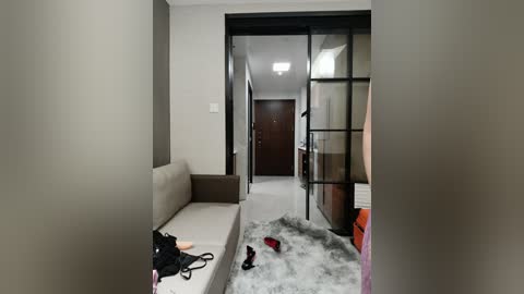 Media: Video of a modern, minimalist hallway with beige walls, a brown sofa, a white floor, and a large mirror at the end. Shoes are scattered on the gray rug.