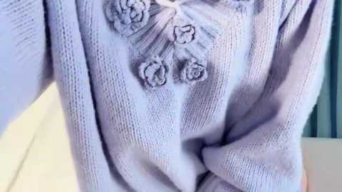 Media: Video of a close-up of a person wearing a soft, light lavender sweater with intricate, textured floral embroidery near the neckline. The sweater's texture is knitted, and the background is blurred, showing a hint of teal and white.