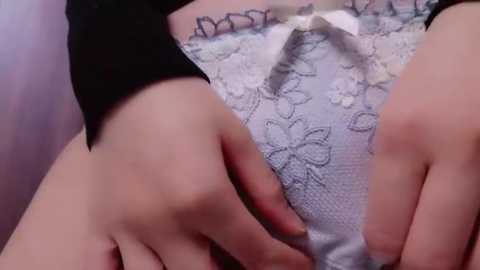 Media: Video of a close-up of a person's hand gently touching light gray lace panties adorned with floral patterns, revealing a soft, feminine texture. The background is blurred, focusing on the delicate fabric.