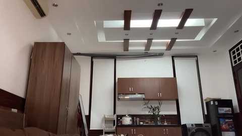 Media: Video of a modern, minimalist kitchen with white walls, wooden cabinets, and a recessed ceiling with LED lights. Stainless steel appliances, a microwave, and a flower vase are on the counter.