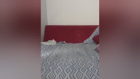 Media: A video of a messy bedroom with a red headboard and a bed covered in blue and white patterned sheets, a white towel, and a partially visible pink item on the floor.