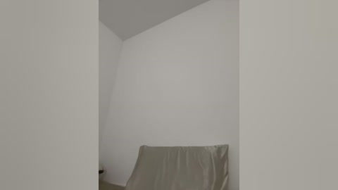 Media: Video of a minimalist, white-walled room with a grey pillow on a couch, set against a clean, bare background.