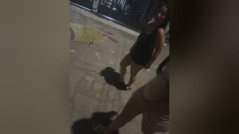 Media: A dimly lit video of a woman in a black tank top and beige shorts walking on a cracked pavement, with a black dog in the foreground.