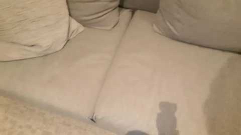 Media: Video of a beige sofa with plush, slightly textured cushions and a light beige carpet in the background, showcasing a cozy, neutral interior setting.