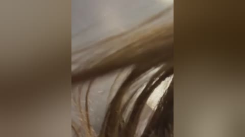 Media: A close-up video of a person's hair, showing strands of different shades of brown and beige, with a blurred background. The texture appears slightly wet, and the lighting is soft and diffused.