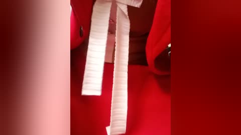 Media: Video of a red bow with white crinkle paper streamers, positioned against a bright red background, creating a festive, celebratory ambiance. The texture of the crinkle paper contrasts with the smooth, glossy red surface.