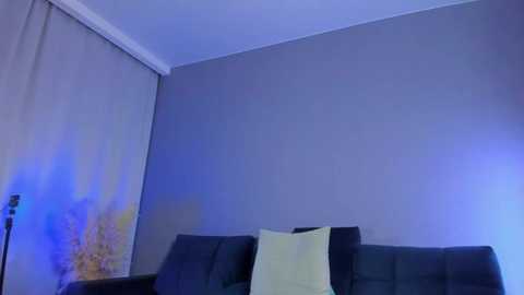 Media: A video of a modern living room with a grey sofa, beige throw pillows, and a grey wall. A blue light illuminates the room, creating a soft, ambient atmosphere.