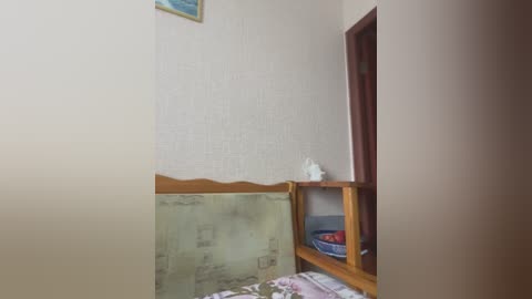 Media: A video of a small, sparsely decorated room with a beige wall and a wooden shelf holding a white tissue box and a blue bowl. The shelf is placed against a green tiled wall.