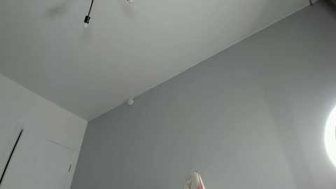 Media: A video of a sparsely furnished room with a minimalist aesthetic. The room features a gray wall, a small round lamp, and white cabinetry, creating a clean and modern ambiance.