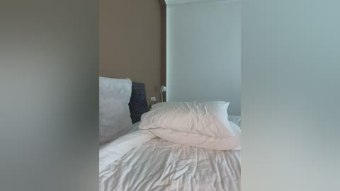 Media: Video of a minimalist bedroom with white bedsheets, a brown headboard, and a white wall; the room is sparsely furnished with a bedside lamp.