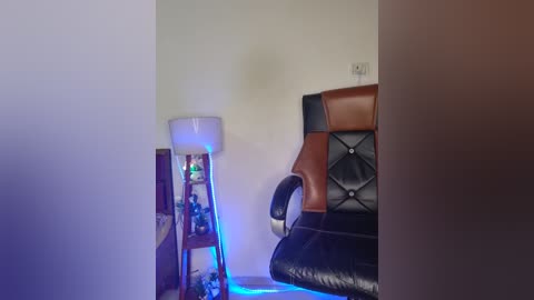 Media: Video of a modern living room corner featuring a tufted brown leather armchair, a wooden bookshelf with a blue LED strip, and a tall, white, cylindrical floor lamp.