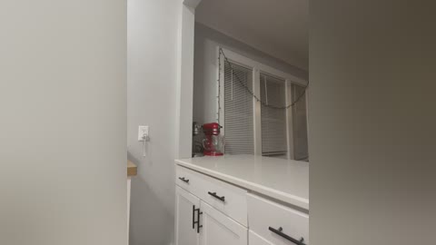 Media: A video of a narrow, modern kitchen with white cabinets, a red KitchenAid mixer, and beige walls. The space is clean and minimalistic.