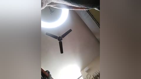 Media: A video of a ceiling fan with a bright, circular light fixture emitting a bright white glow, set against a beige ceiling and walls.