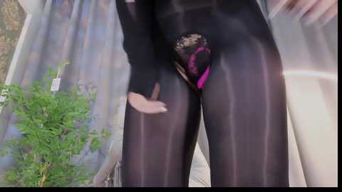 Media: A video showing a woman in a sheer black bodysuit, with visible black lace panties and a partially exposed crotch, standing in front of a green plant and white curtains.