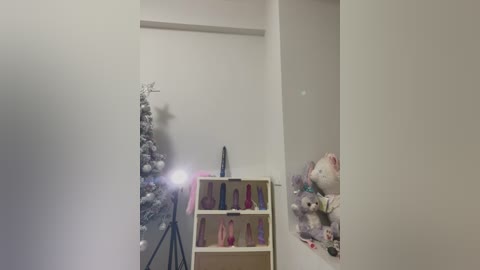 Media: A video of a minimalist, white-walled room with a Christmas tree, a shelf of sex toys, and plush toys on a window ledge.