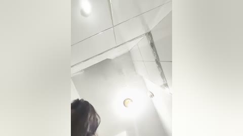 Media: A video of a person with dark hair, partially obscured, standing in a bathroom with white tiles, a reflective mirror, and a light fixture visible.