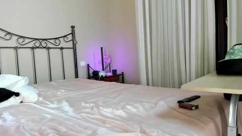 Media: Video of a minimalist bedroom with a beige wall, a wrought iron bed, a nightstand holding a lamp and remote, and a TV on a white dresser.