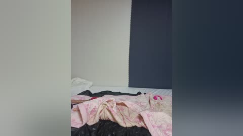 Media: Video of a messy bedroom with a bed covered in pink, floral-patterned sheets and a black blanket, against white and dark blue walls.