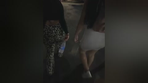 Media: A dimly lit video captures two women walking away, one in leopard-print leggings, the other in a white skirt. They appear to be in a dimly lit urban setting.