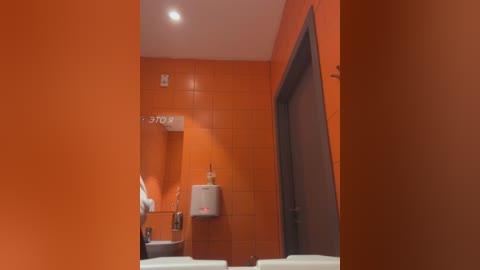 Media: Video of a small, modern restroom with orange-tiled walls, a white sink, a gray door, and a white water heater. The space is clean and utilitarian.