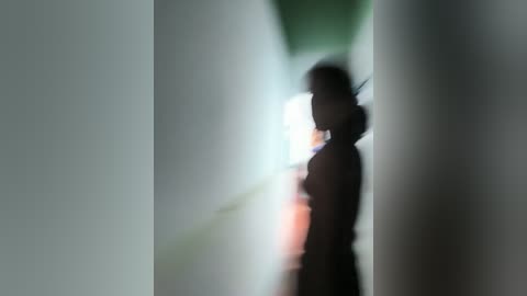 Media: A blurred video of a person in silhouette, standing against a white wall with green accents, possibly in a hallway, creating a moody, introspective atmosphere.