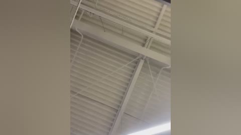 Media: Video of a white-painted, corrugated metal ceiling with exposed pipes and ducts, indicating a utilitarian, industrial space.