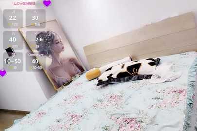 Media: A video shows a woman in a white dress lying on a pastel floral bed, with a black and white cat beside her. A large, framed video of a woman in a white dress is propped against the wall.