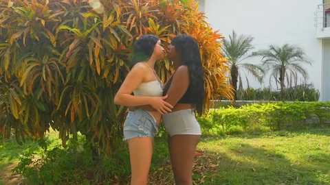 Media: Video of two women in summer outfits, hugging closely outdoors; lush greenery, palm trees, and white building in background.